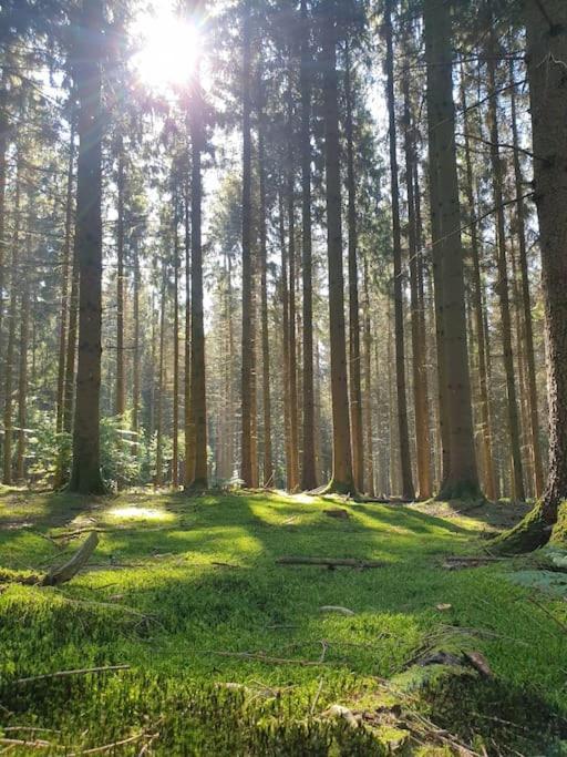 Gite N° 20, En Pleine Nature, Frontalier Signy-le-Petit Esterno foto